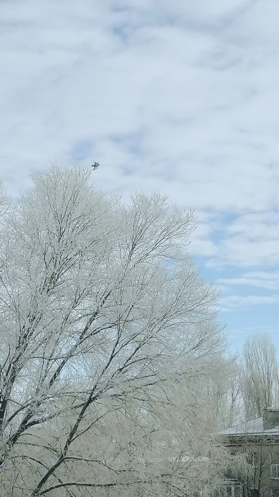 Photograph by Алексей Титков