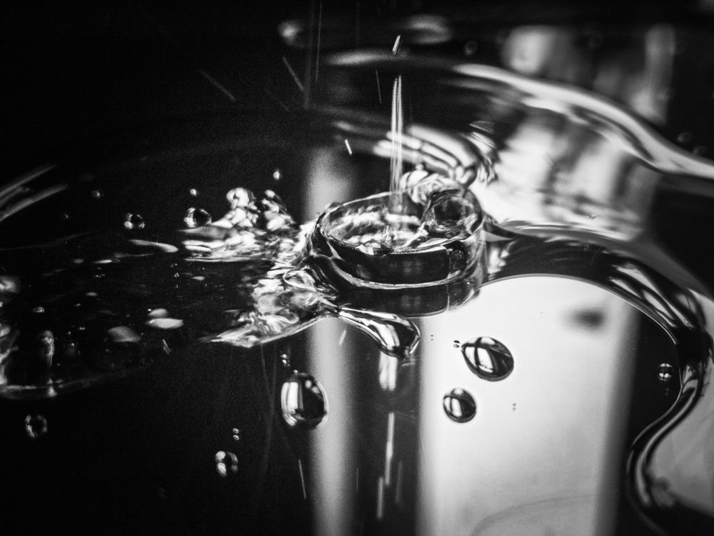 Photo #12937659