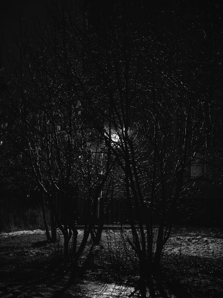 Photograph by Марина Опарина