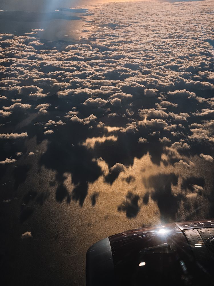 Photograph by Кристина Альшанская