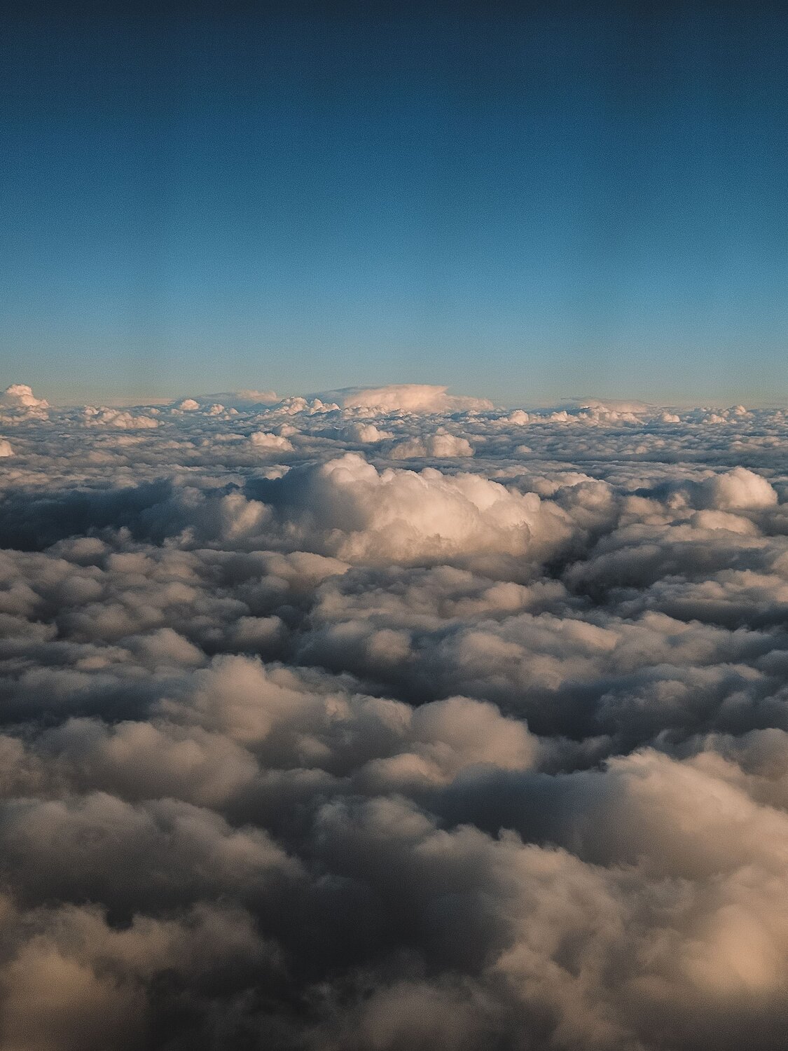 Photo #12937754