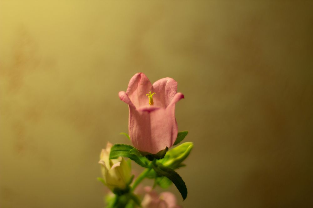 Photograph by Виталий Са