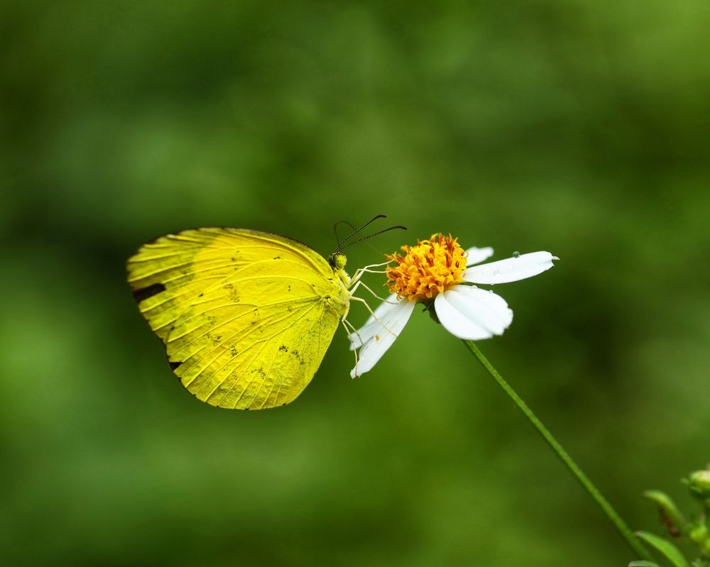 Photograph by Uyen Ha Phuong