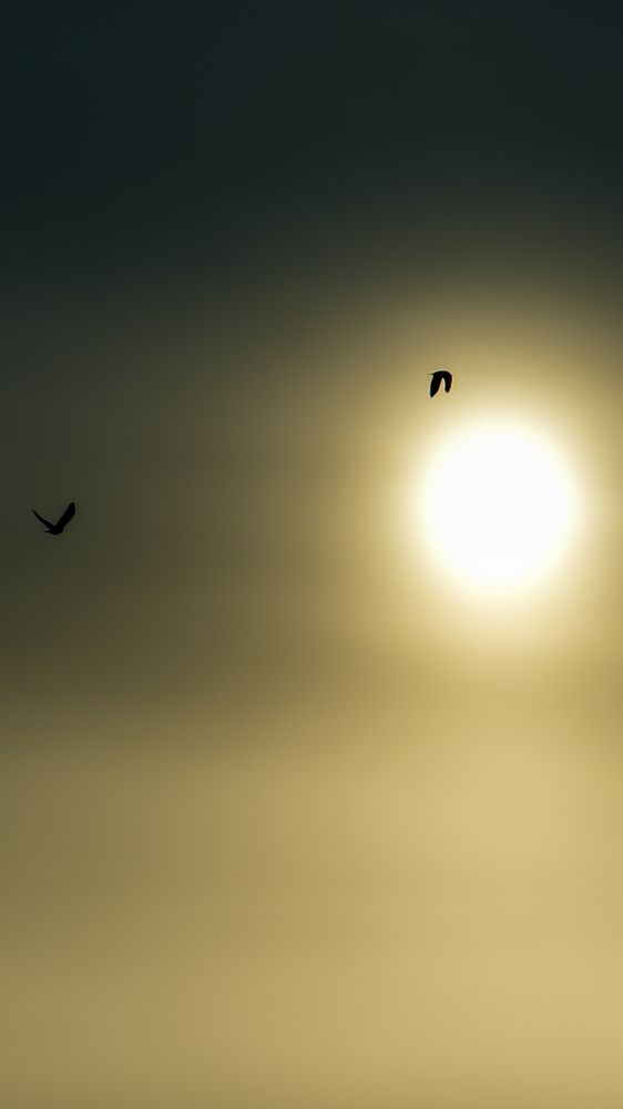 Photograph by Михаил Трусов