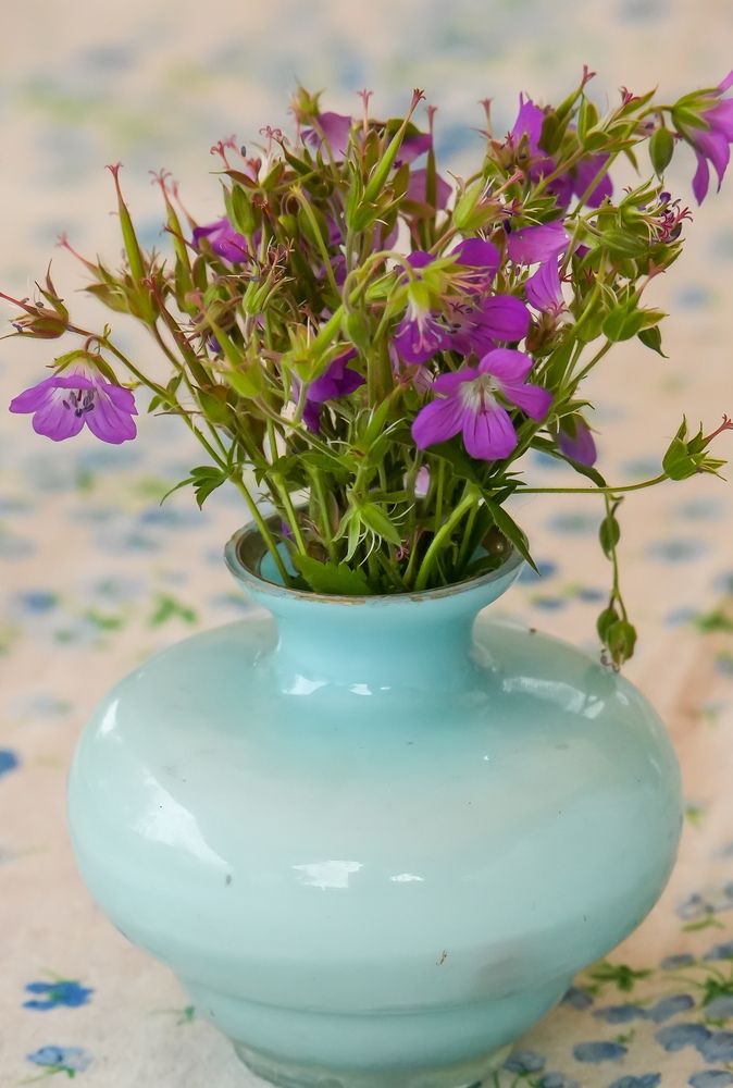 Photograph by Михаил Трусов