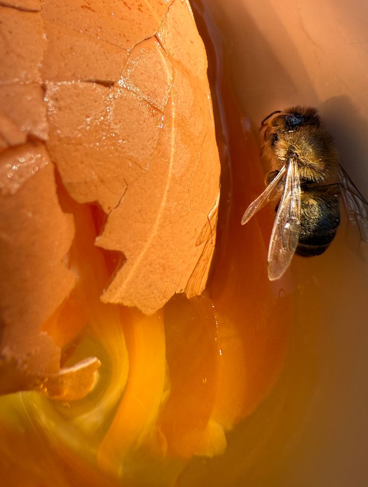 Photograph by Анна Стрелковская