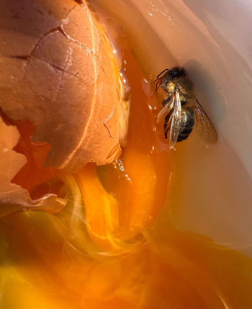 Photograph by Анна Стрелковская