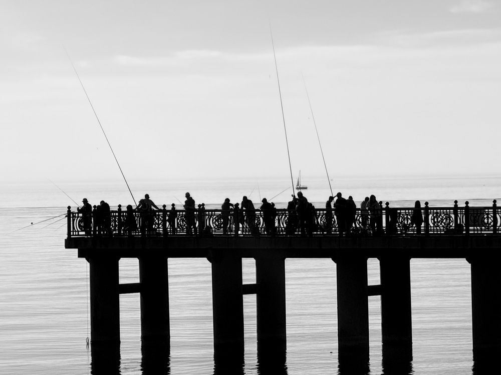 Photograph by Светлана