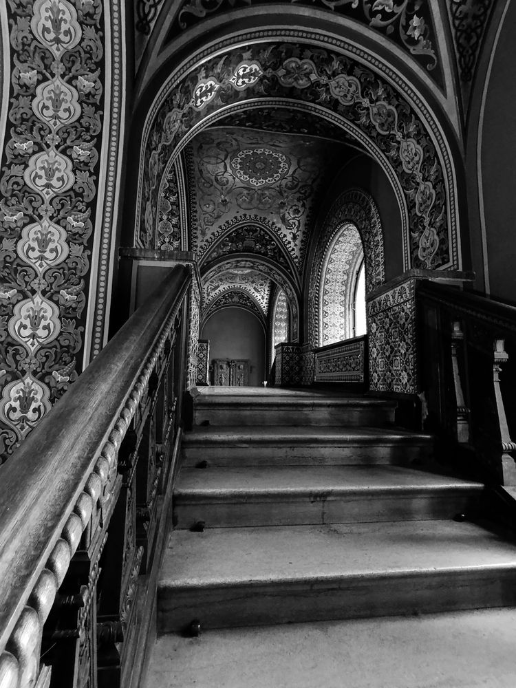 Photograph by Елена Шишкина