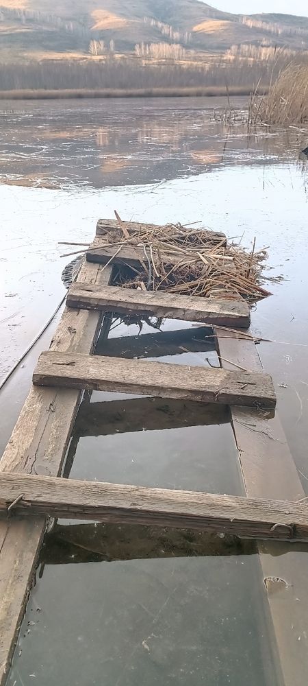 Photograph by Елена Калинина