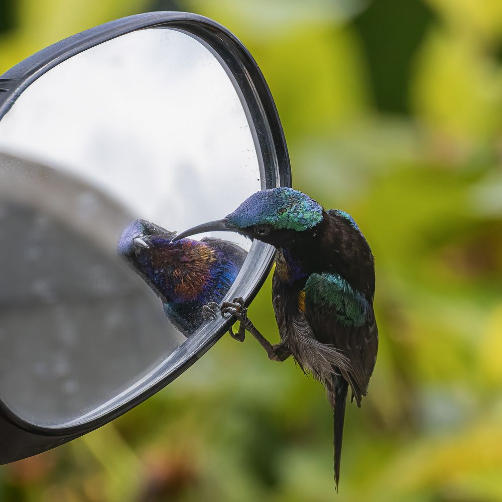 Photograph by Chau Nguyen