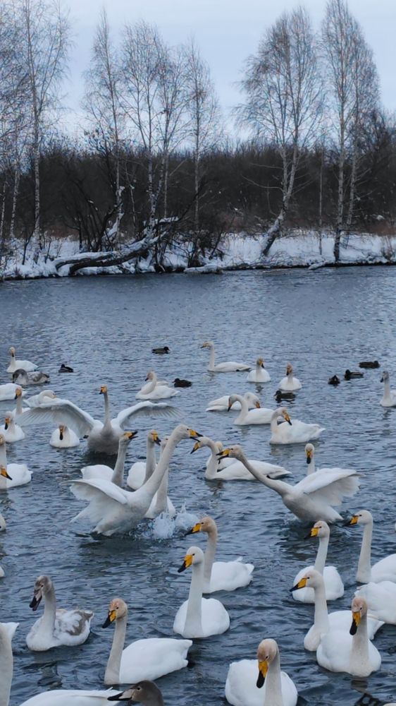 Зимним пасмурным днём.