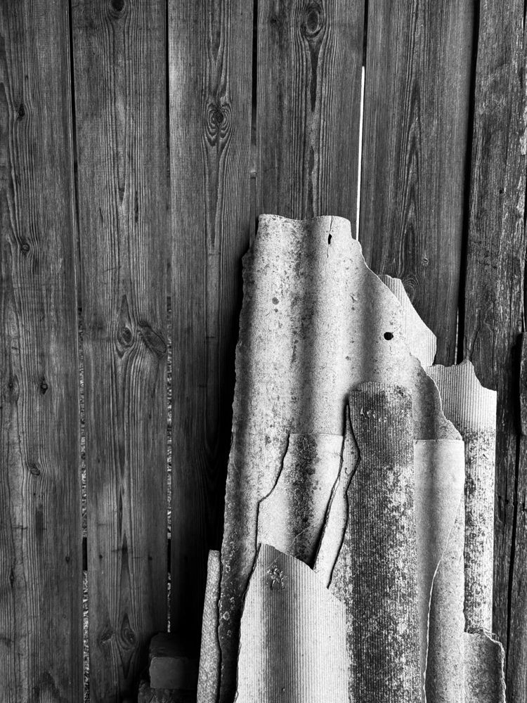 Photograph by Анна Пигулевская