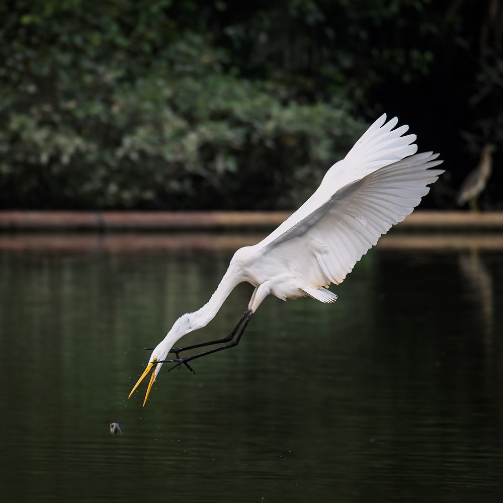 Photograph by Chau Nguyen