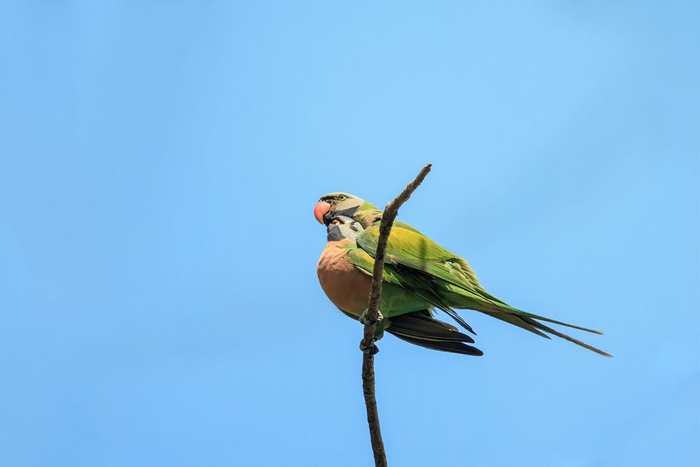 Photograph by Chau Nguyen