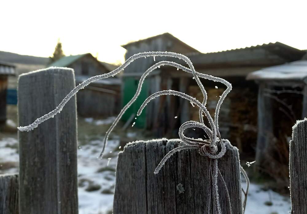 Photograph by Назмутдинова Сауия