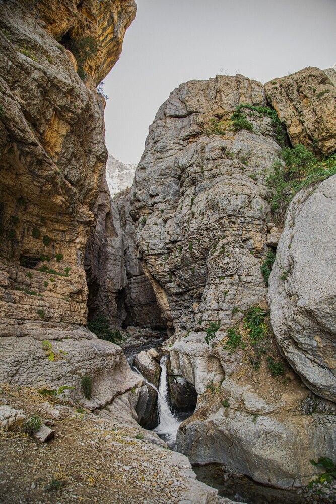 دنا سا