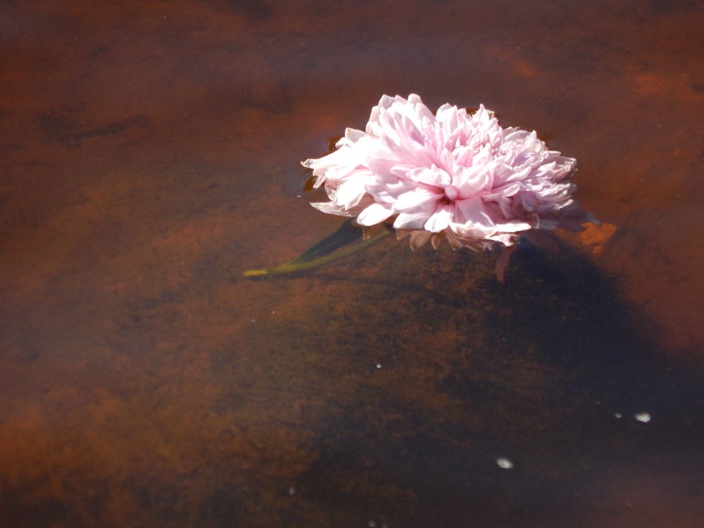 Photograph by Кирилл Елесин