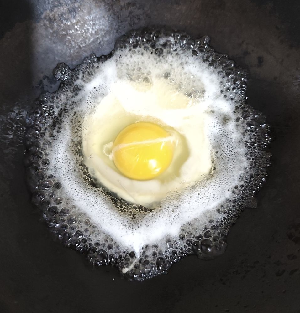 Photograph by Chandrika Ghoshal