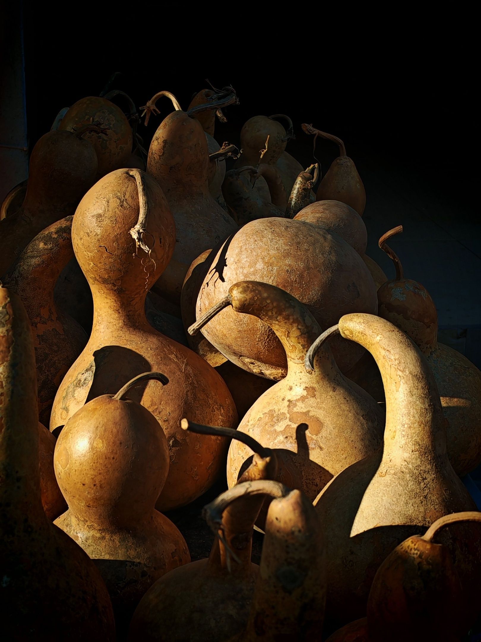 Фотография автора Юлия Есина