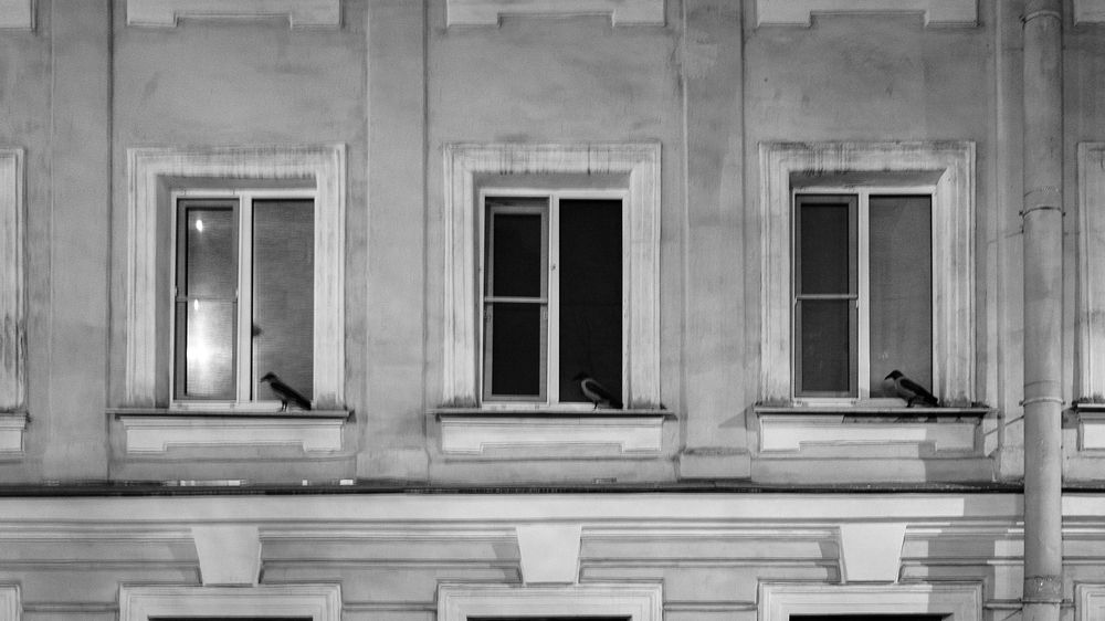 Photograph by Алексей Раимун