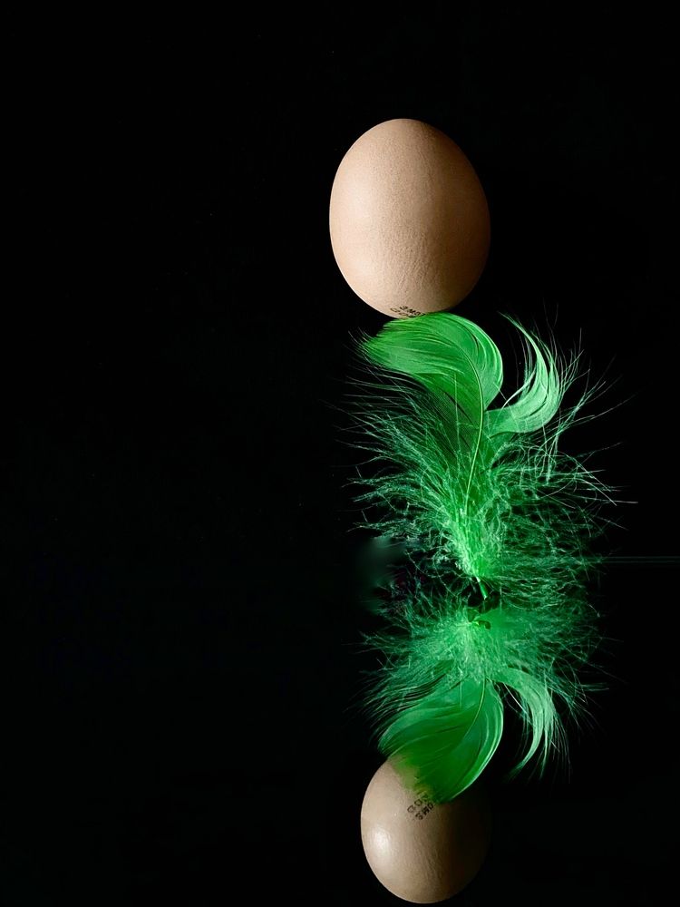 Фотография автора Ольга Полякова