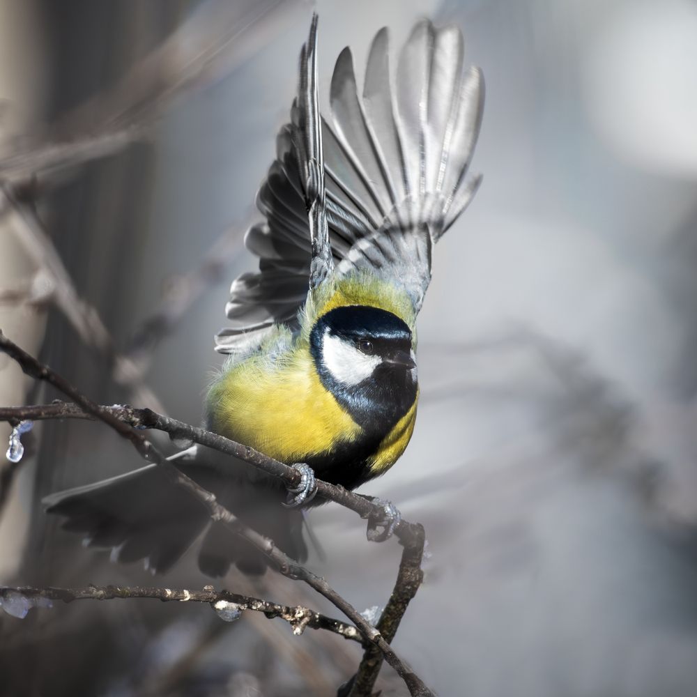 Photograph by Полина Шальнева