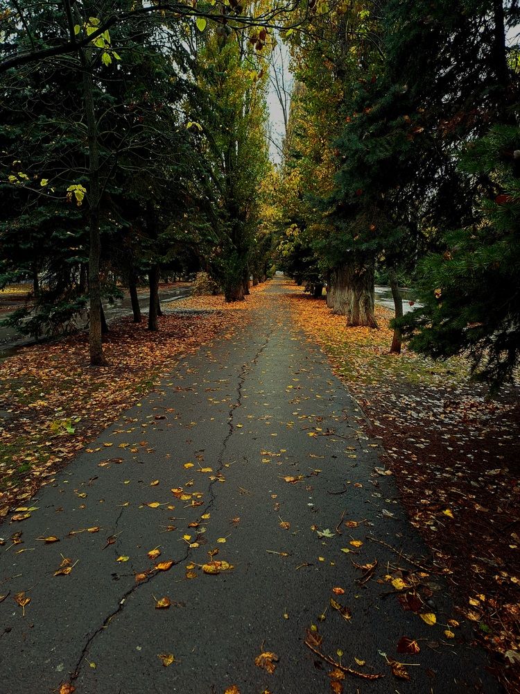 Photo #12938576