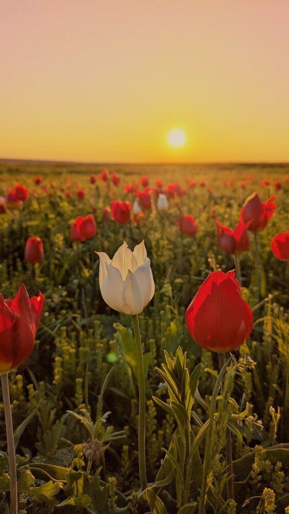 Photograph by Иван Губский