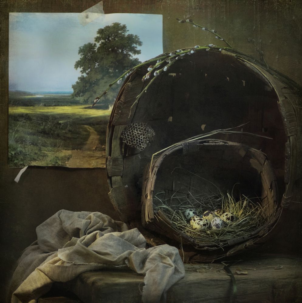 Photograph by Сушкевич Светлана