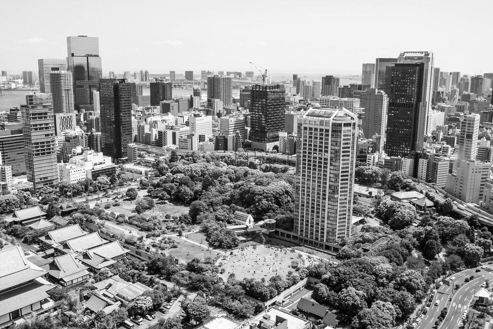 Photograph by Константин Черняев