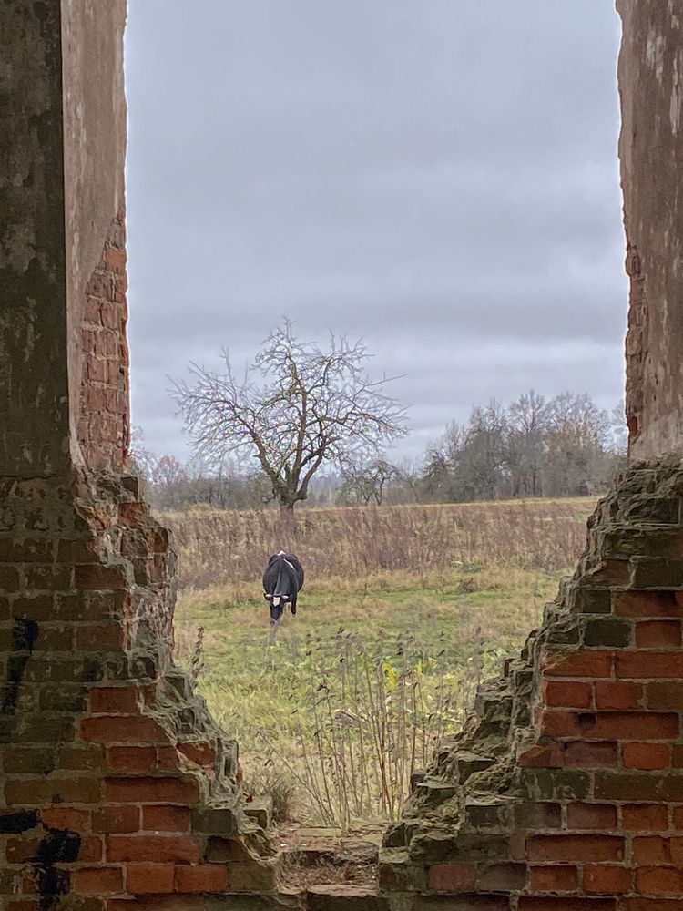 Фотография автора Лариса Гришкевич