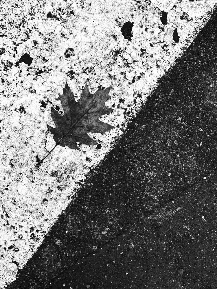 Фотография автора Aliaksandr Shautsou