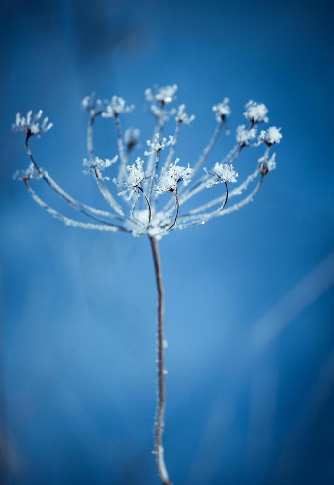 Photograph by Павел Ван