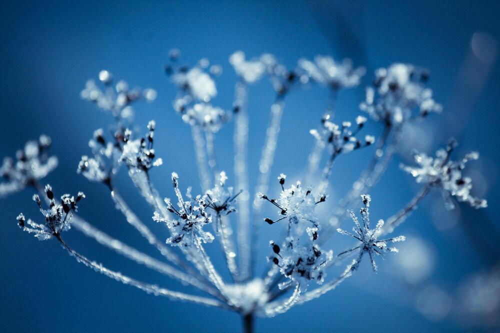 Photograph by Павел Ван