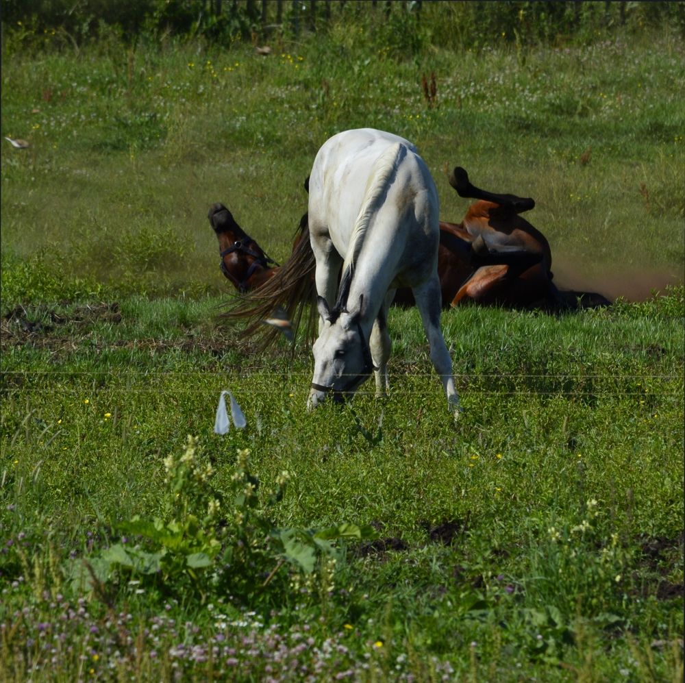 И пусть этот мир подождет.