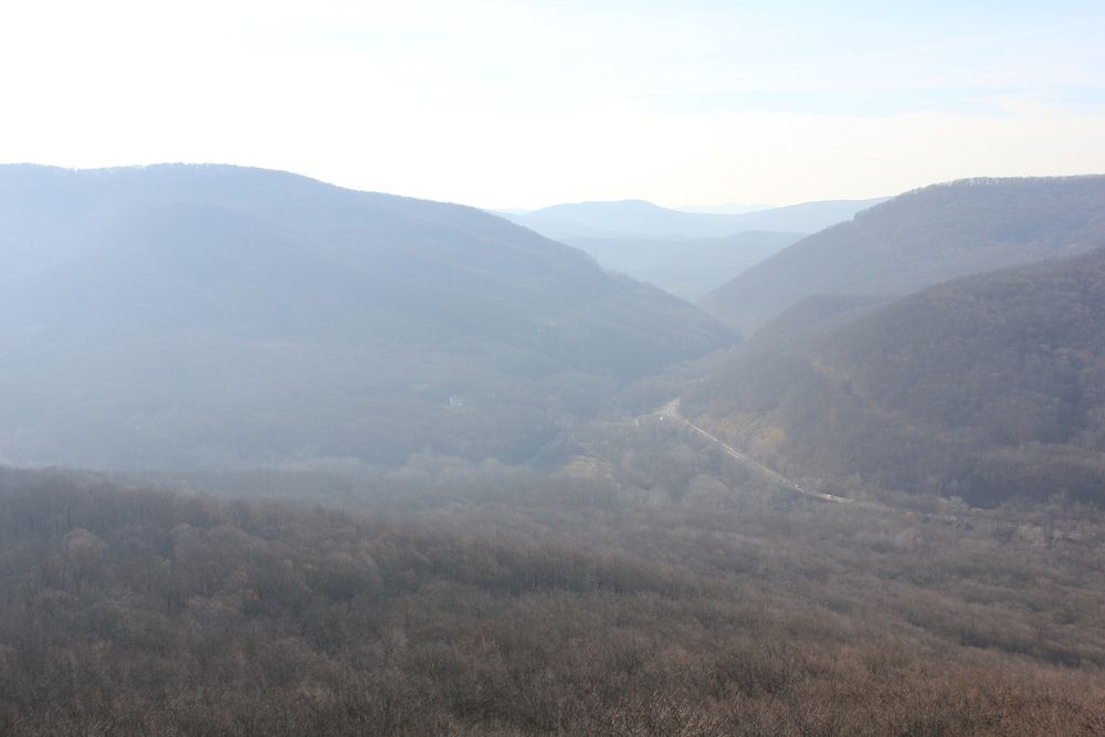 Предгорье Кавказа