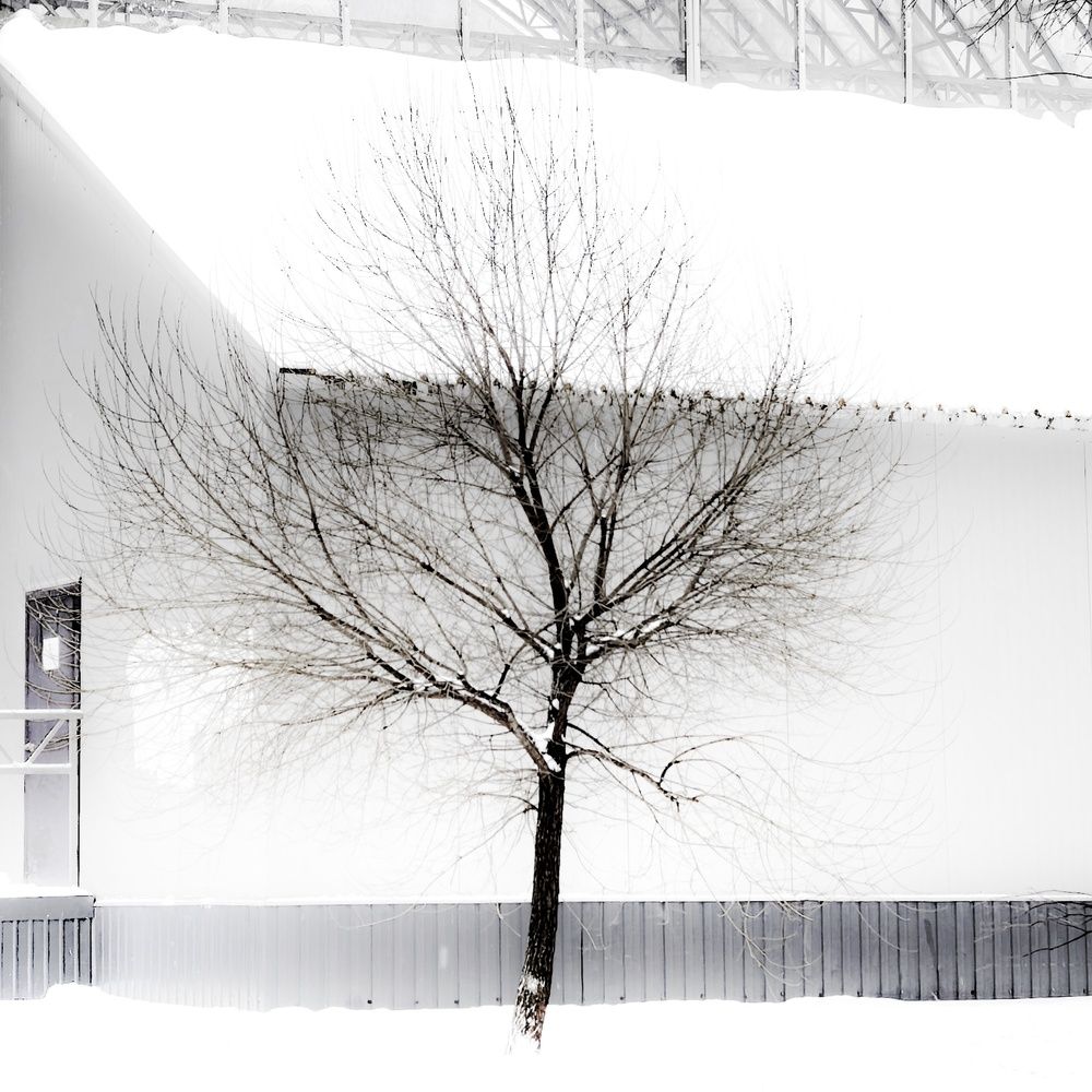 Photograph by Юрий Полушин