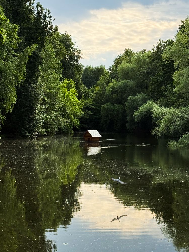 Photograph by Виктория