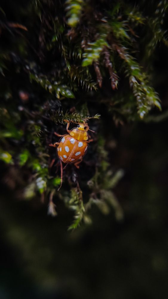 Photograph by Eugenia Blinova