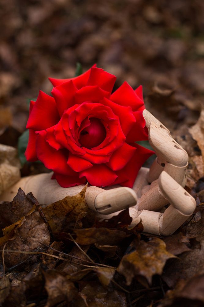 Photograph by Rimma Larkina