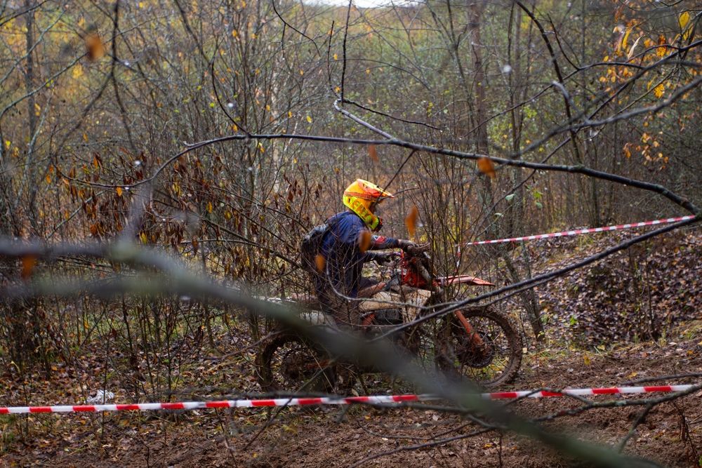 Фотография автора Алина Руденко