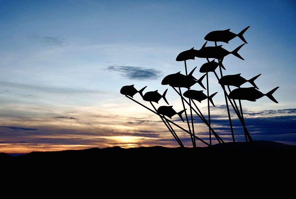 Photograph by Marina Odintsova