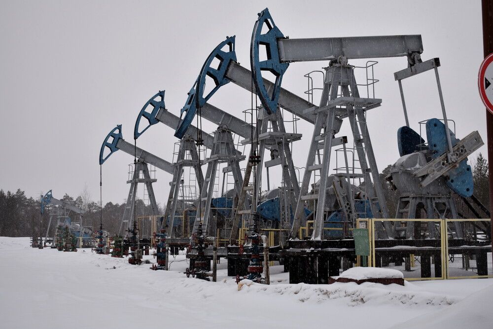 Фотография автора Светлана Чехлань