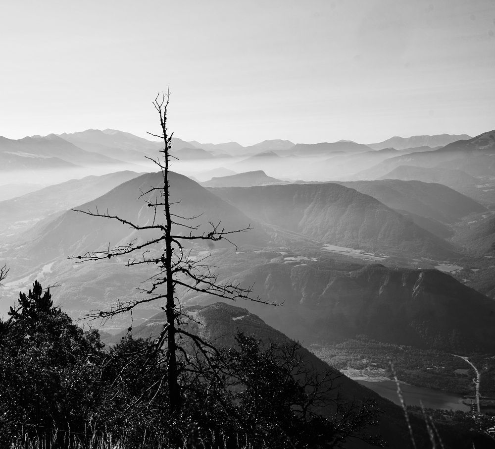 Photograph by Marina Odintsova