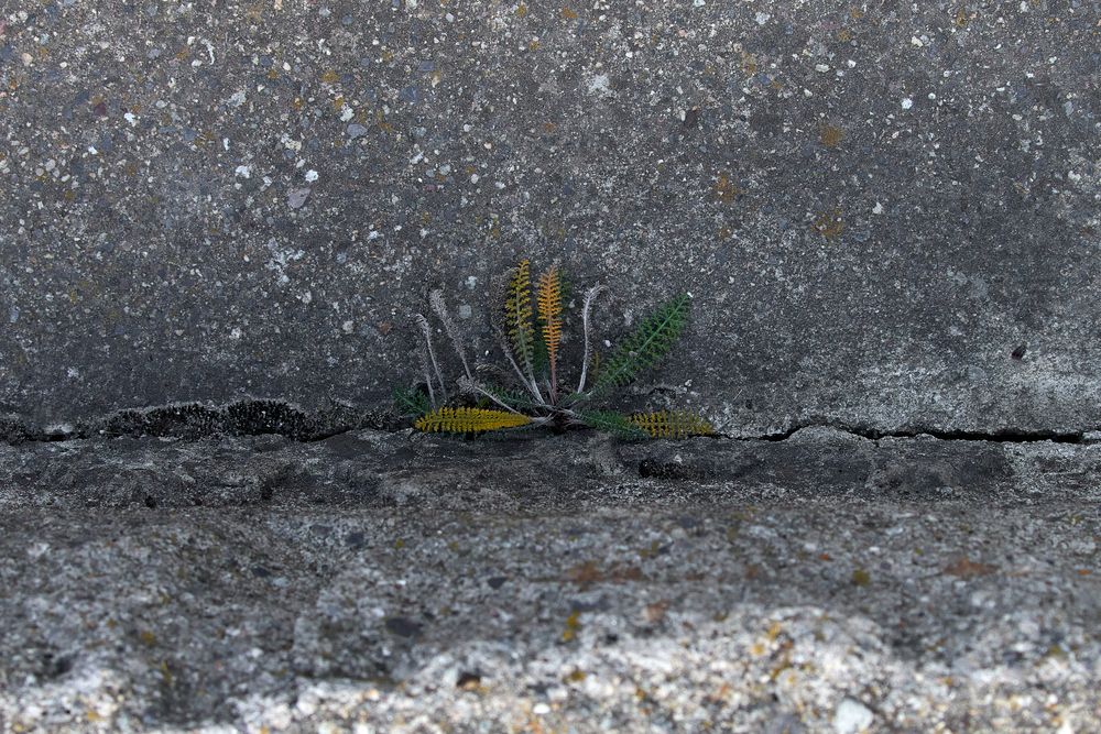 Photograph by Максим Карпович