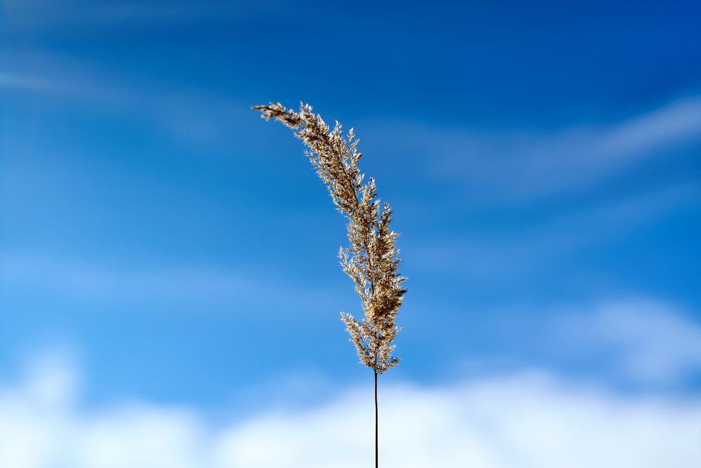 Photograph by Максим Карпович