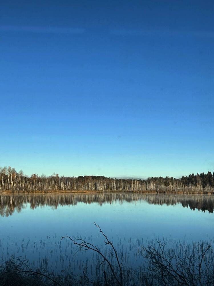 Photograph by Анастасия Бурая