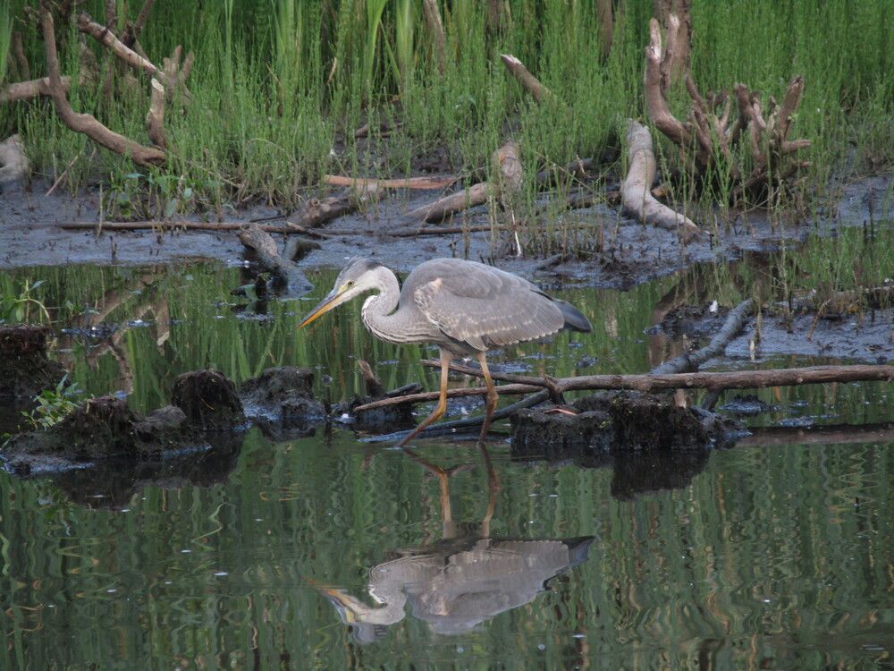 Фотография автора Наталья Визер