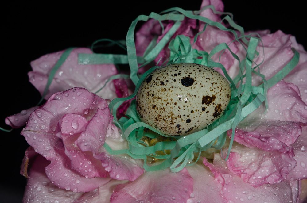 Приняла ли она подкидыша?